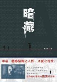 小說《暗藏》封面