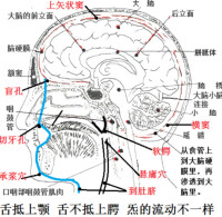 舌抵上齶