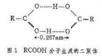 分子締合