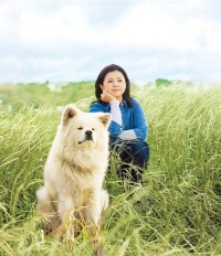 秋田犬蓬夫