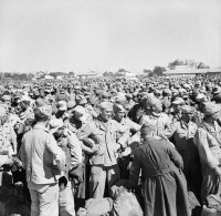 突尼西亞戰役結束后被俘虜的德軍和意軍士兵