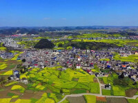 屯堡田園風光