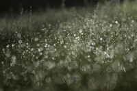 雨景拍攝