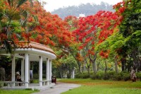 東湖公園景觀