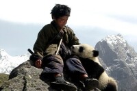 《熊貓回家路》劇照