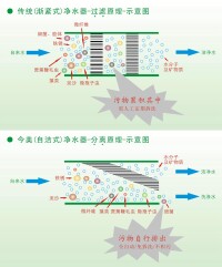 自動排污凈水器