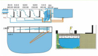 錦鯉魚池過濾系統