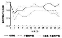 角膜緣幹細胞