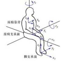 圖1 人體坐姿受振模型