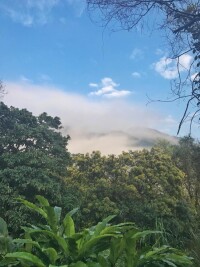 靈石山國家森林公園