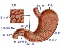 胃脹