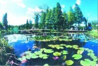 良鳳江國家森林公園