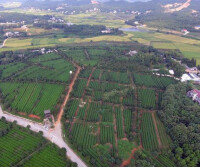 雲湖橋鎮