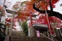 岡崎市神社