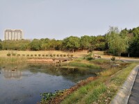 藏龍島濕地公園