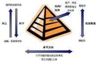 信息的組織維度