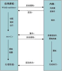 DSpace（數字空間）