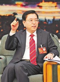 全國人大常委會委員長張德江
