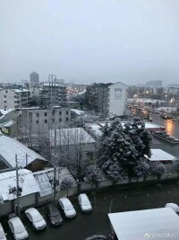 大雪山鎮