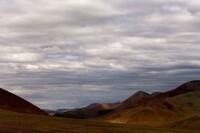 西藏易貢國家地質公園