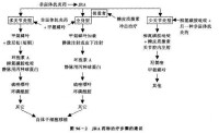 （圖）藥物治療