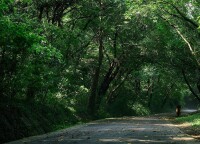 大蜀山林道