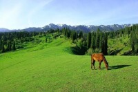 那拉提旅遊風景區