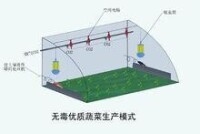 無毒優質蔬菜生產模式:土壤電消毒