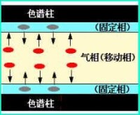 塔板理論