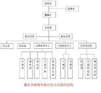 重慶青年旅行社公司組織結構