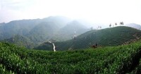 雨壇鄉風景