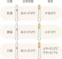 人體正常體溫範圍 示意圖