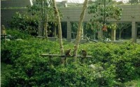 松鼠猴生態園