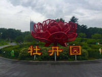 中國牡丹園