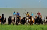 蒙古民族