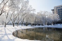 雪景