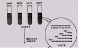 雙脫氧鏈終止法