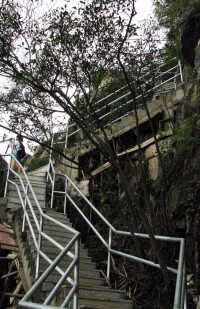 肇慶北嶺山森林公園