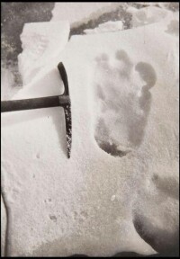 西普頓拍攝的雪人腳印