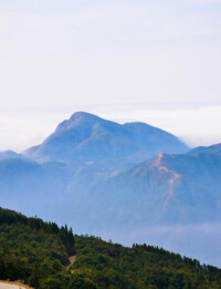 大田頂