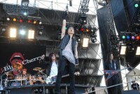 Acid Black Cherry free live