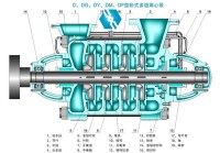 D型多級泵結構圖