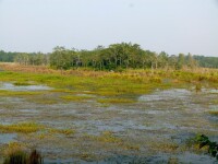 奇特旺國家公園