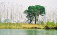 亭湖區自然風景