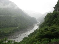 （圖）大漢溪上游的支流