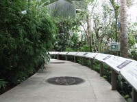 北京植物園展覽溫室內景