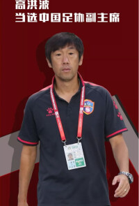 成為中國足協副主席