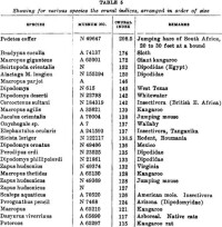 動物的Crural指數