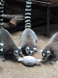 西寧野生動物園