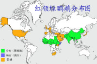 紅領綠鸚鵡分布圖